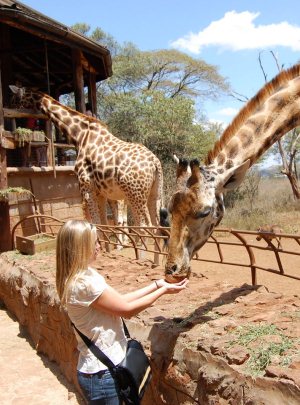 Kenya Excursions: From $ 50