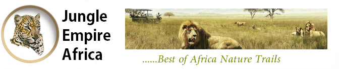 Jungle Empire Africa